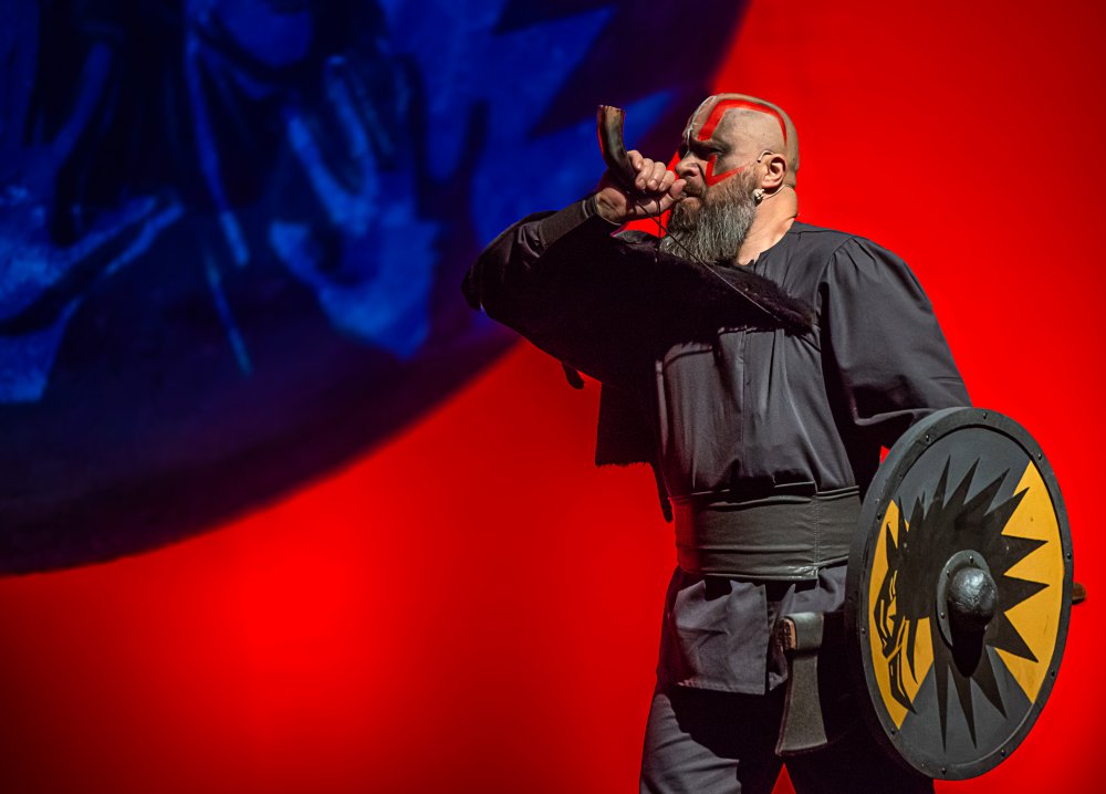 Котигорошко проти вікінгів