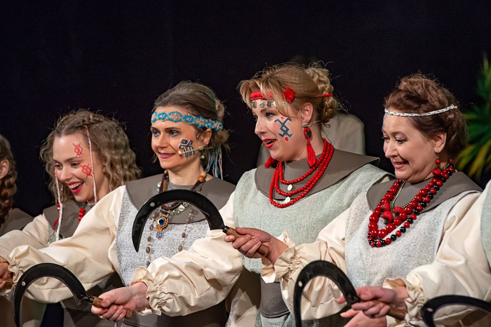 Котигорошко проти вікінгів