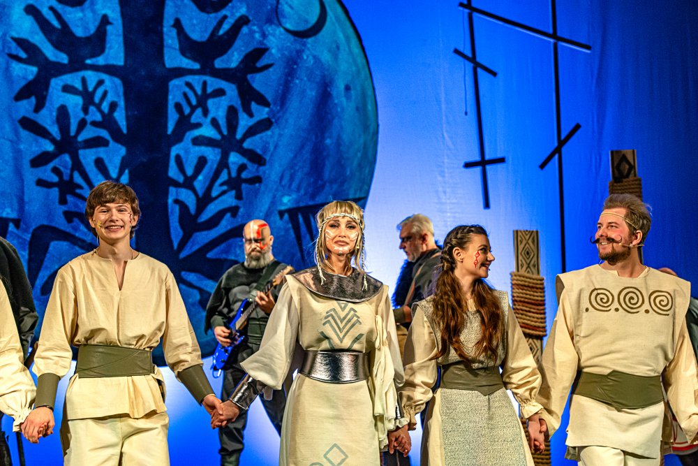 Котигорошко проти вікінгів