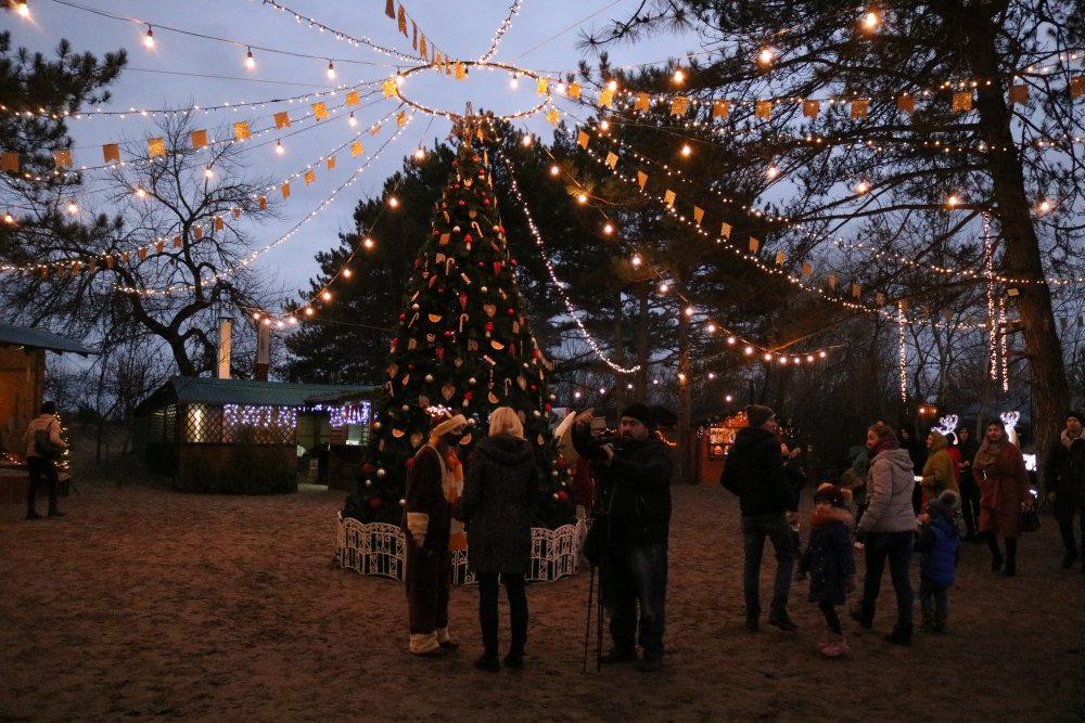 Дід Мороз чекає на вас у казковому лісі
