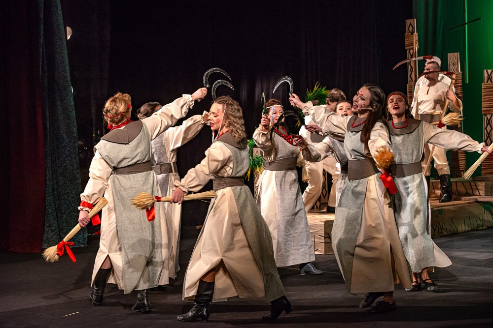 Котигорошко проти вікінгів