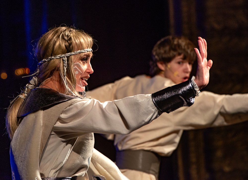 Котигорошко проти вікінгів